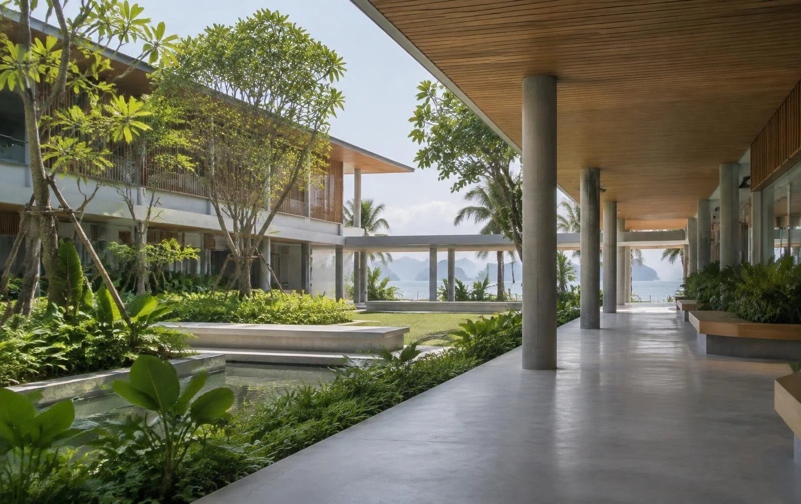 A shaded contemporary school courtyard with tropical planting